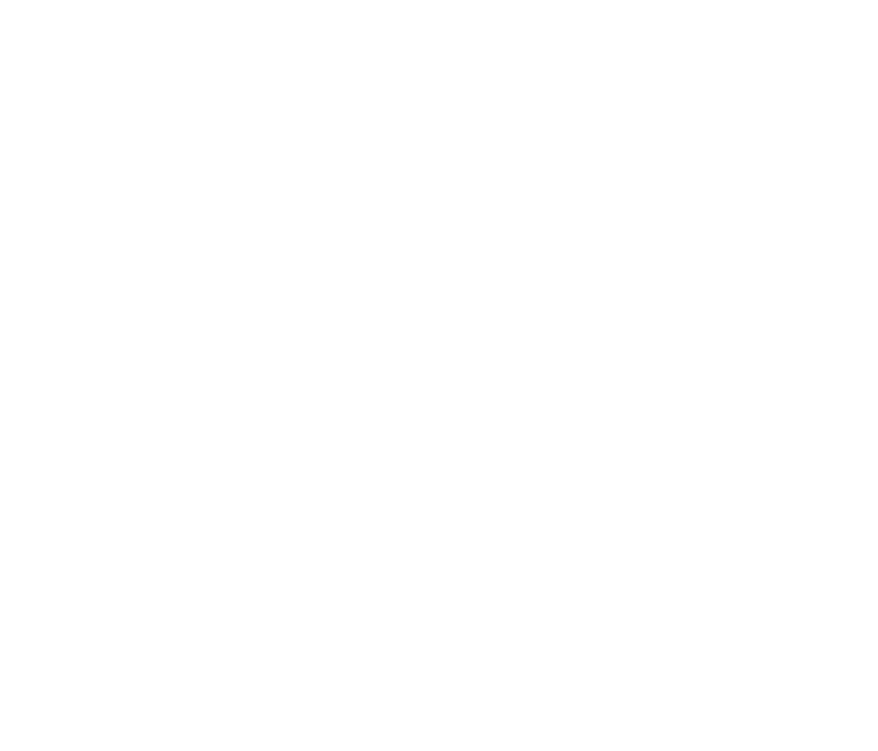 Andhera emblem