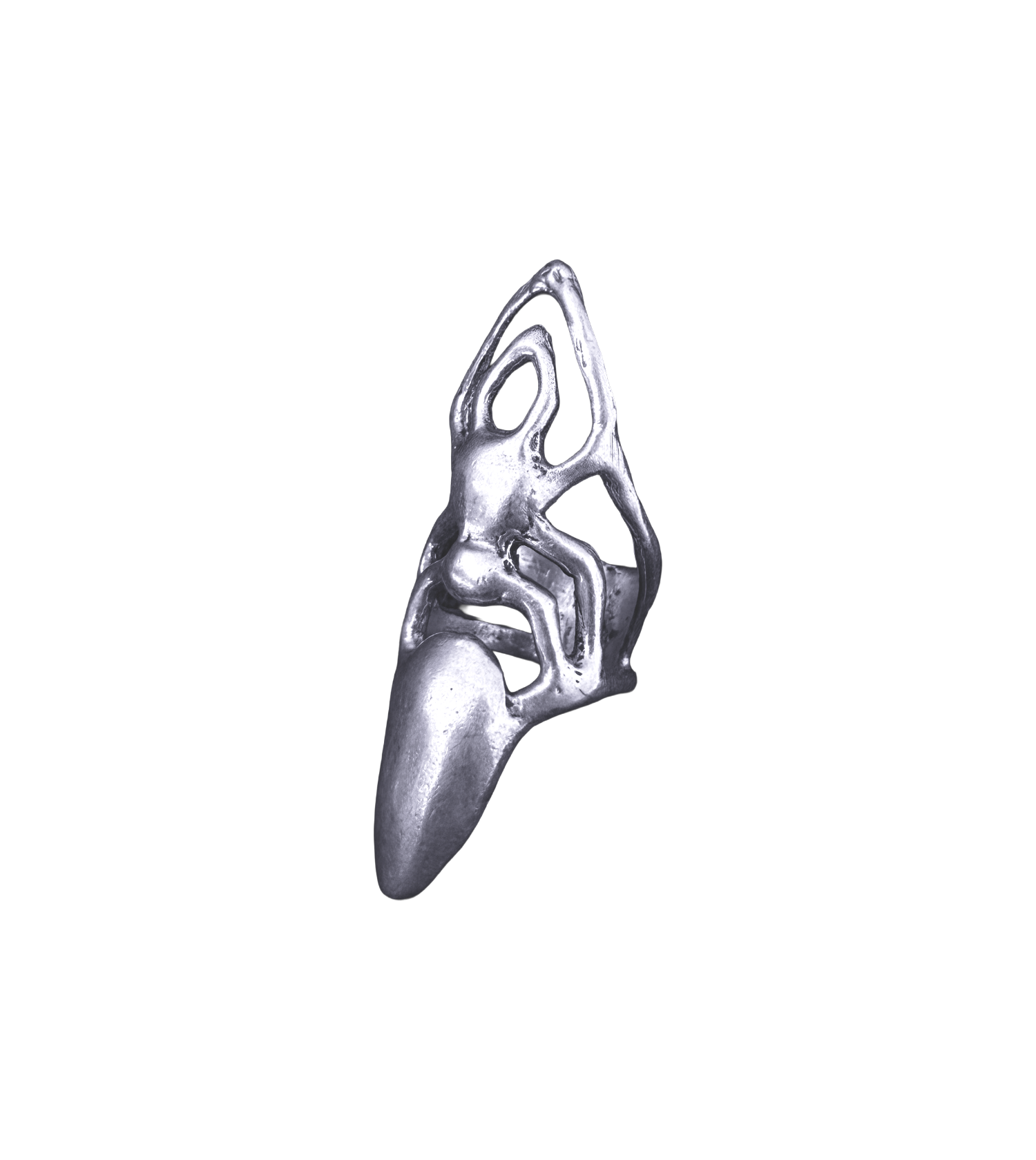 Ash Signet ring